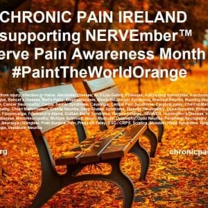 Nervember2016-bench_0